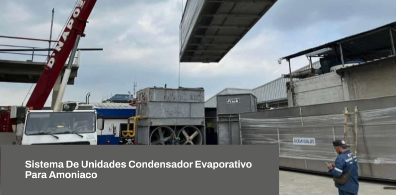Proyecto4