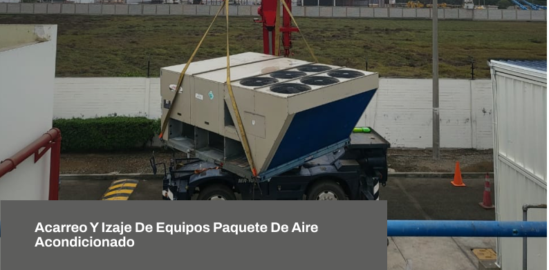 Proyecto7